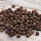 Allspice