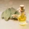 Bay Essence