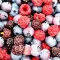 Berries