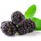 Blackberry