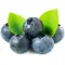 Blueberry