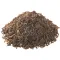 Caraway