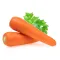 Carrot