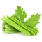 Celery