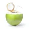 Coconut Water