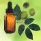 Copaiba Oil