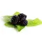 Dewberry