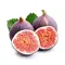 Fig