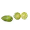 Finger Lime