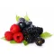 Forest Fruits