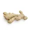 Ginger