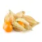 Ground Cherry