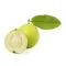 Guava