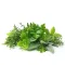Herbal Notes