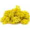 Immortelle