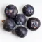 Juniper Berries