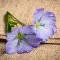 Linen Flower