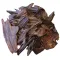 Malaysian Oud