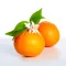 Mandarin Blossom