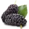 Mulberry