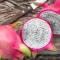 Pitahaya