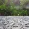 Rain Notes