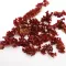 Red Algae