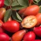 Rose Hip