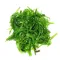 Seaweed