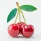 Sour Cherry