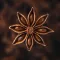 Star Anise