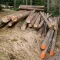 Timberwood