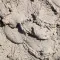 Wet Plaster